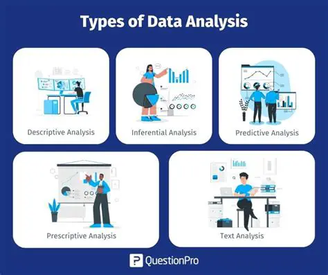 Analyzing the Sample Data Set