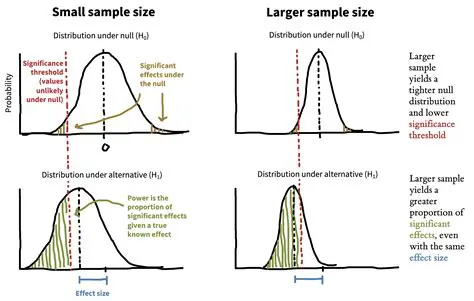 Approaches to Inference with Large Sample Sizes