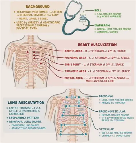 Auscultate the patient in different positions