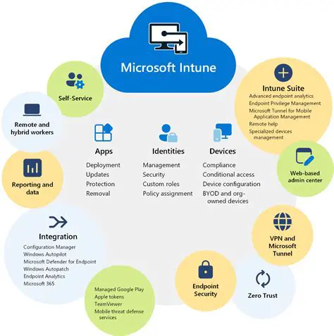 Auto Web Windows Management