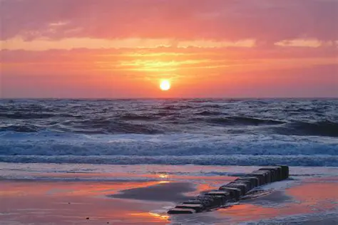 Background of Sunset Policy 2008