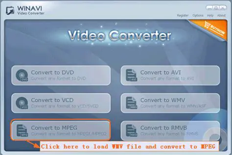 Benefits of Using 101 AVI MPEG WMV Converter