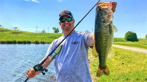 Benefits of Using Fish Expert