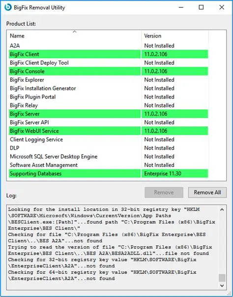 Benefits of Using the Bigfix Removal Tool