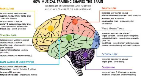 Brain Areas Involved in the Pleasure Principle