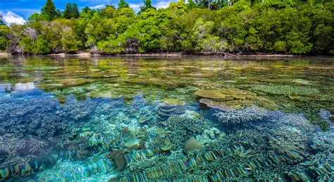 Climate as a Driver of Biodiversity