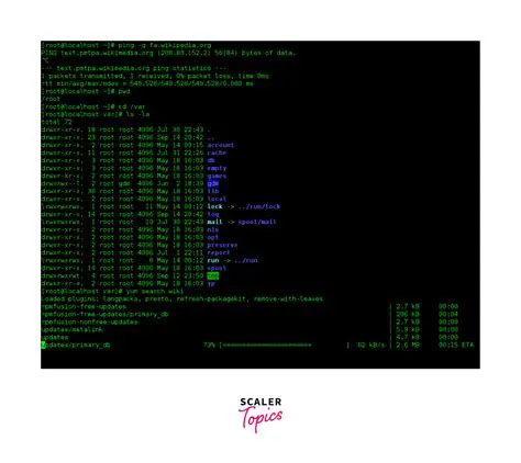 Command Line Interface Element