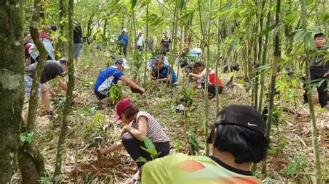 Community Forest Management Activities