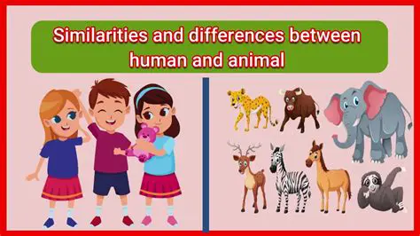 Comparing a person to an animal