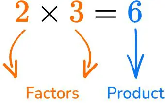 Comparing the Product to the Factors