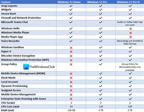 Compatible with All Modern Windows Versions