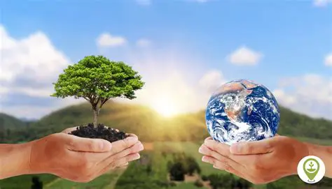 Conservation and Sustainability