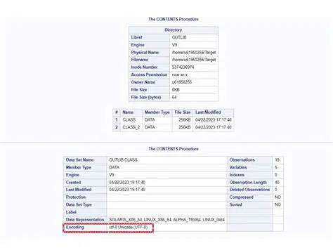 Customizable encoding options