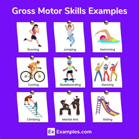 Definition of Gross and Fine Motor Skills