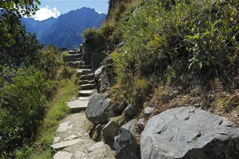 Desarrollo de una compleja red de caminos y canales