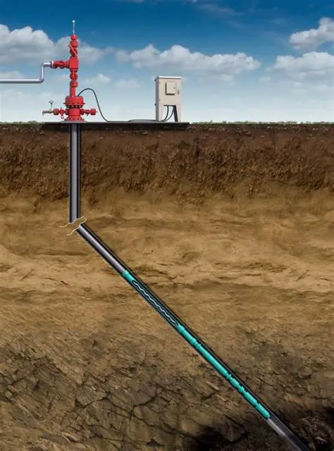Downhole Progressing Cavity Pumping Operations