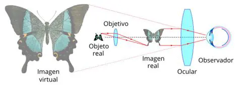 El Aumento de la Imagen en el Microscopio