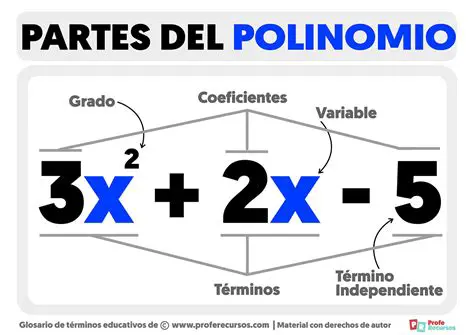 Escribe el polinomio divisor