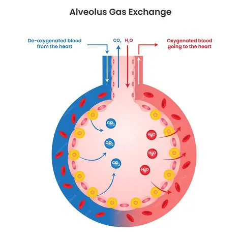 Factors Affecting the Flow of Gaseous Matter