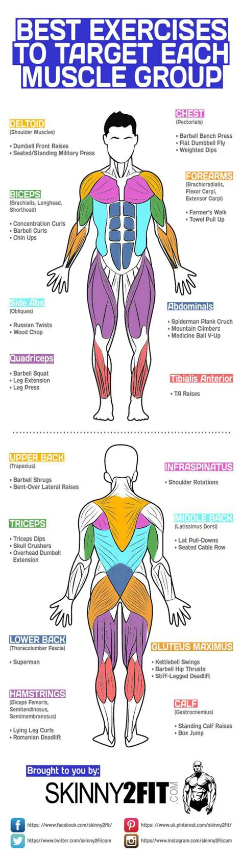 Focus on specific muscle groups