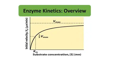 Frequently Asked Questions about Enzyme Kinetics