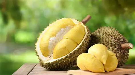 Giving a Mixture of Wine and Arilus Durian
