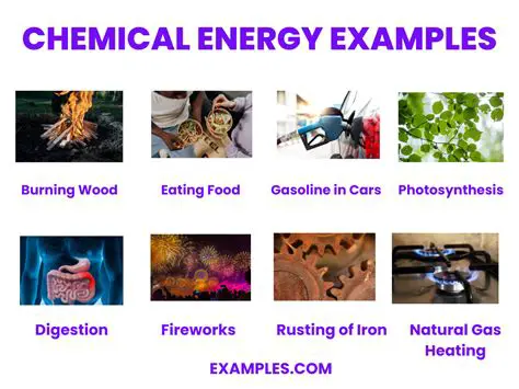 Herbivores and Chemical Energy