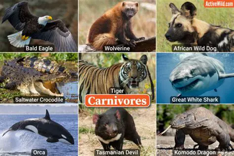 Herbivorous or carnivorous diet