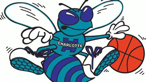 History of the Charlotte Hornets