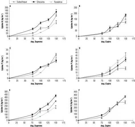 Humic Psammentic Dystrudepts