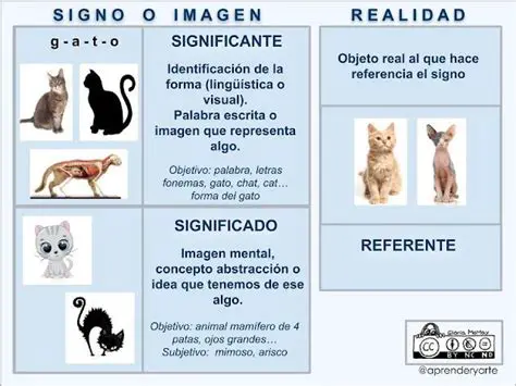Identificar el signo del resultado