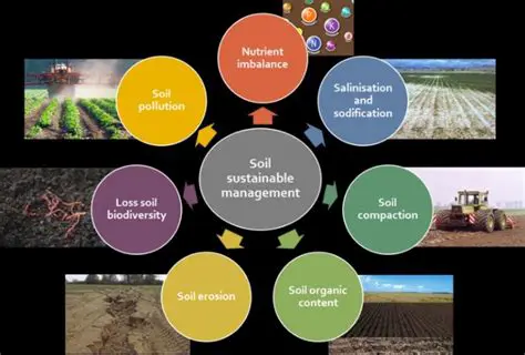 Implement soil conservation measures