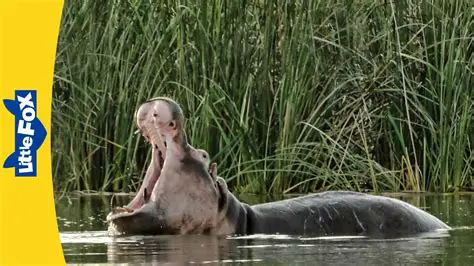 Importance of Introducing the Animal World to Children