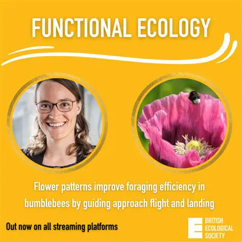 Improved foraging efficiency