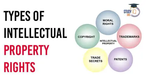 Intellectual Property Rights