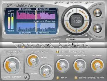 Introduction to SX Fidelity Amplifier