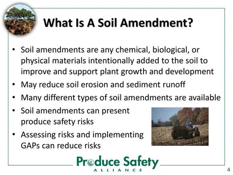 Investigating the Effects of Soil Amendments