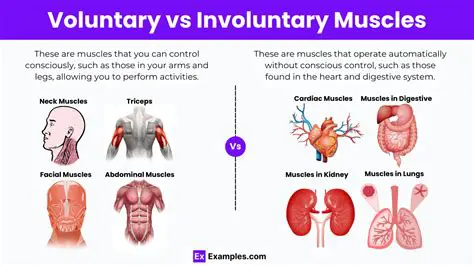 Key Components of an Involuntary Response