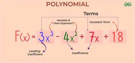 Key Components of Polynomial Functions