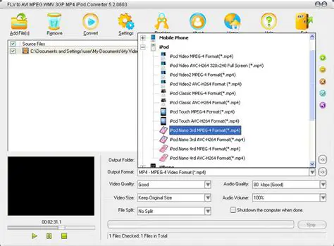 Key Features of Agrin Flash to AVI MP4 iPod WMV MOV Converter