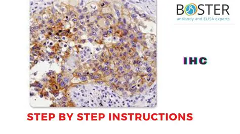Key Features of IHC Control