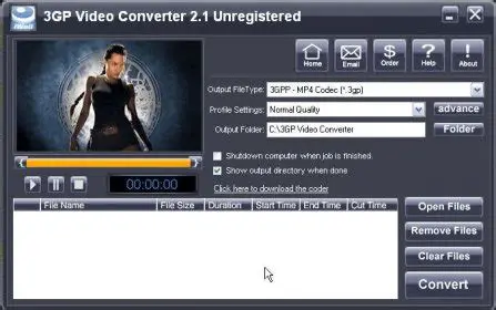 Key Features of iWellsoft 3GP Video Converter