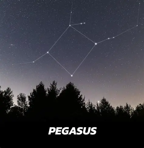 Key Features of Pegasus CIS