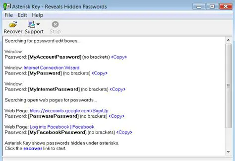 Key Features of Show Asterisks Password Free