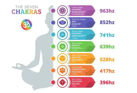 Key Features of Solfeggio Maestro