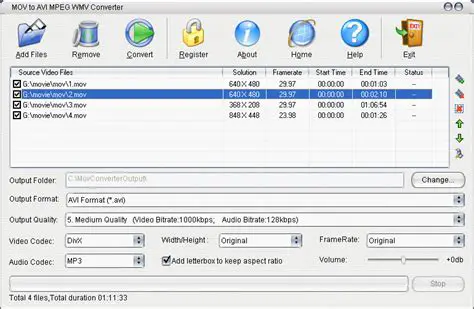 Key Features of the Free WMV to AVI MPEG Converter