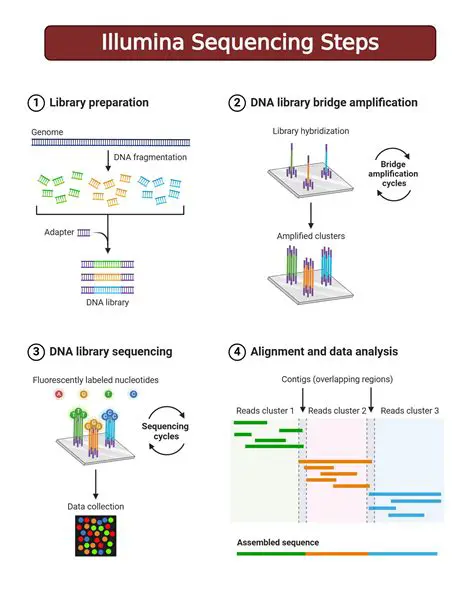 Key Features of the Illumina GenomeStudio DNA Sequencing Module