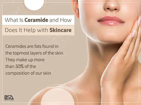 Look for products with high levels of ceramides