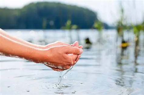 Mejora de la calidad del agua