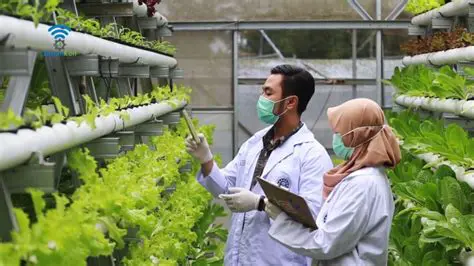 mengembangkan sistem irigasi